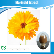 Best Marigold Flower Extract Marigold Extract Lutein Powder
